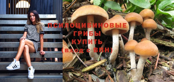 мяу мяу кристалл Козловка